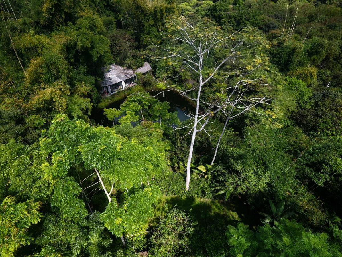 Cantalarana Lodge Mindo Dış mekan fotoğraf