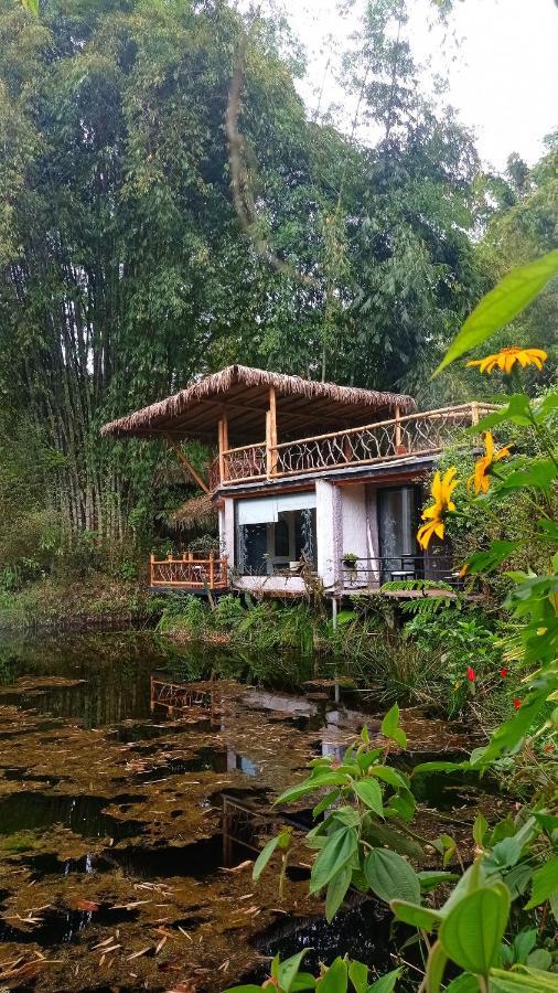 Cantalarana Lodge Mindo Dış mekan fotoğraf