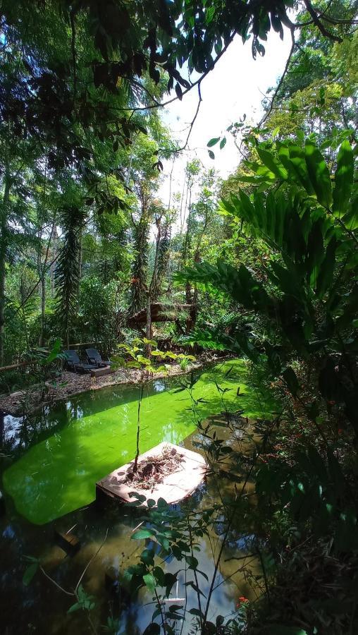 Cantalarana Lodge Mindo Dış mekan fotoğraf
