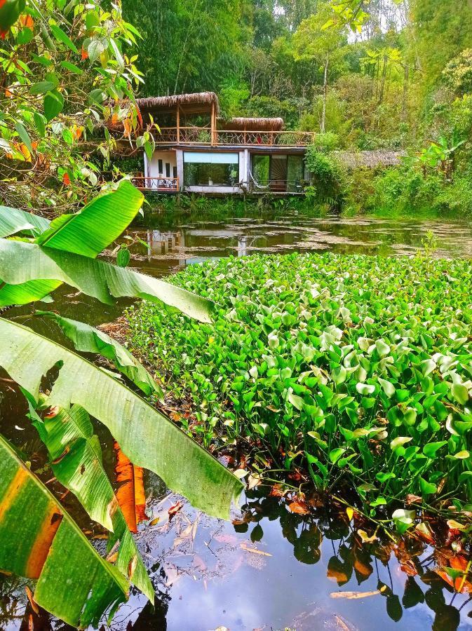 Cantalarana Lodge Mindo Dış mekan fotoğraf