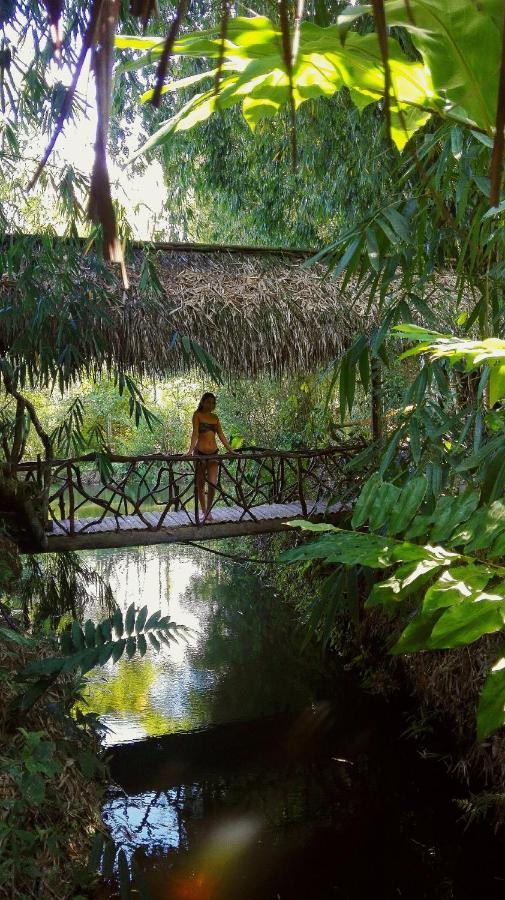 Cantalarana Lodge Mindo Dış mekan fotoğraf