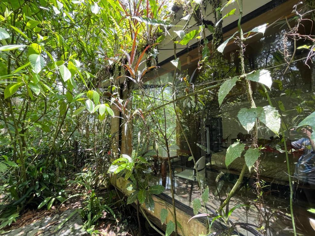 Cantalarana Lodge Mindo Dış mekan fotoğraf