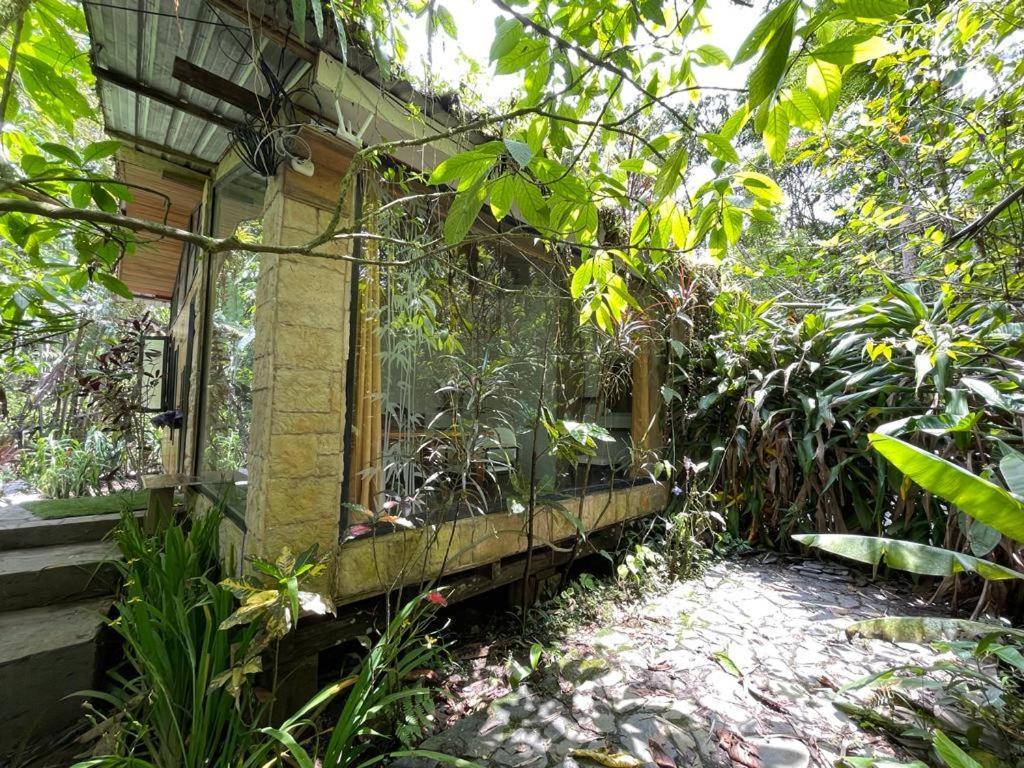 Cantalarana Lodge Mindo Dış mekan fotoğraf