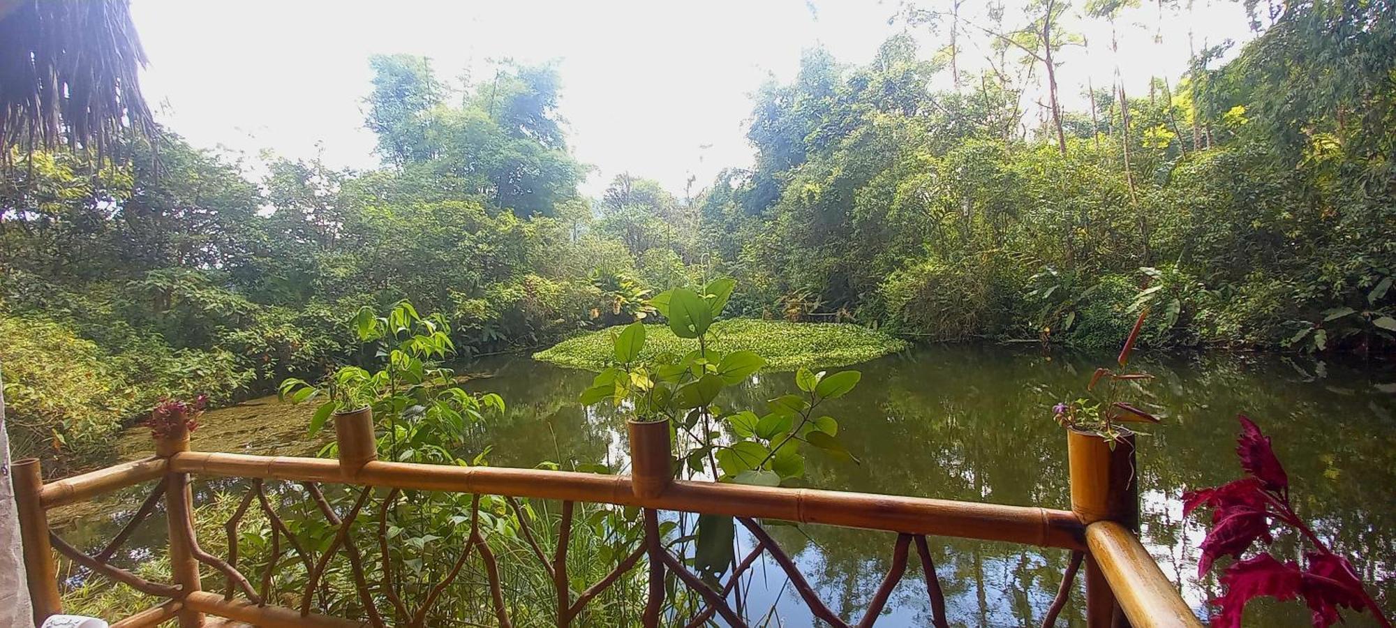 Cantalarana Lodge Mindo Dış mekan fotoğraf