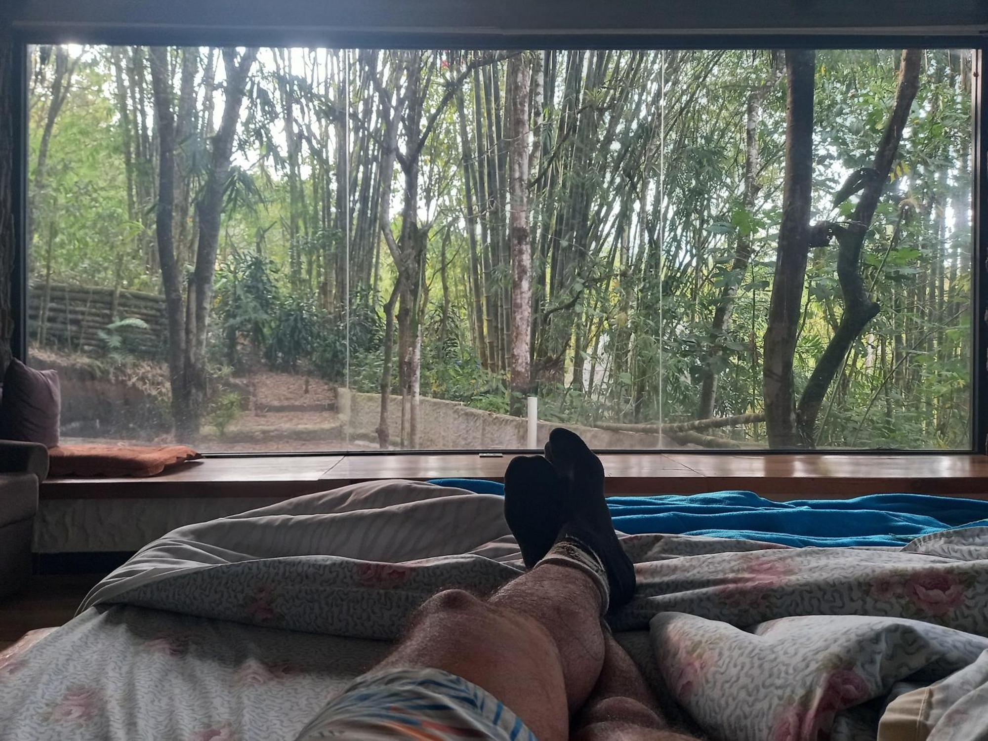 Cantalarana Lodge Mindo Dış mekan fotoğraf